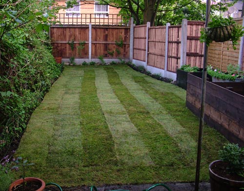 Lawn at last!