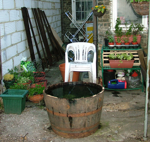 Patio and pond area