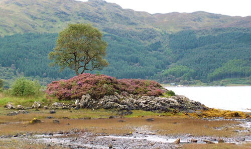 Small Scottish Island