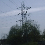 Essex, UK: Pylons on the road between Ongar and London [Picture by Flash Wilson]
