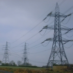 Essex, UK: Pylon between Colne Valley and Cressing [Picture by Flash Wilson]